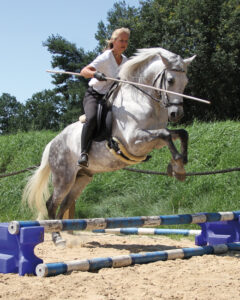 Working Equitation
